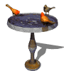 {animated birdbath2}